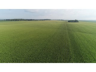 Union County, Indiana Farmland - REAL ESTATE AUCTION - 805+/- ACRES IN 11 TRACTS IN UNION COUNTY, INDIANA